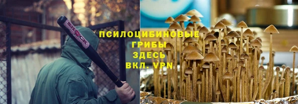 соль ск Аркадак