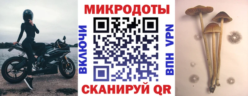 Псилоцибиновые грибы MAGIC MUSHROOMS  маркетплейс Telegram  Белая Калитва  закладки 